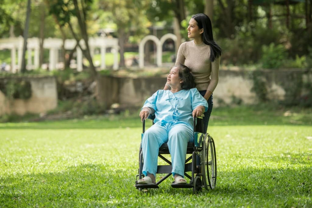 Cuidadora acompañando a adulta mayor en silla de ruedas en el parque